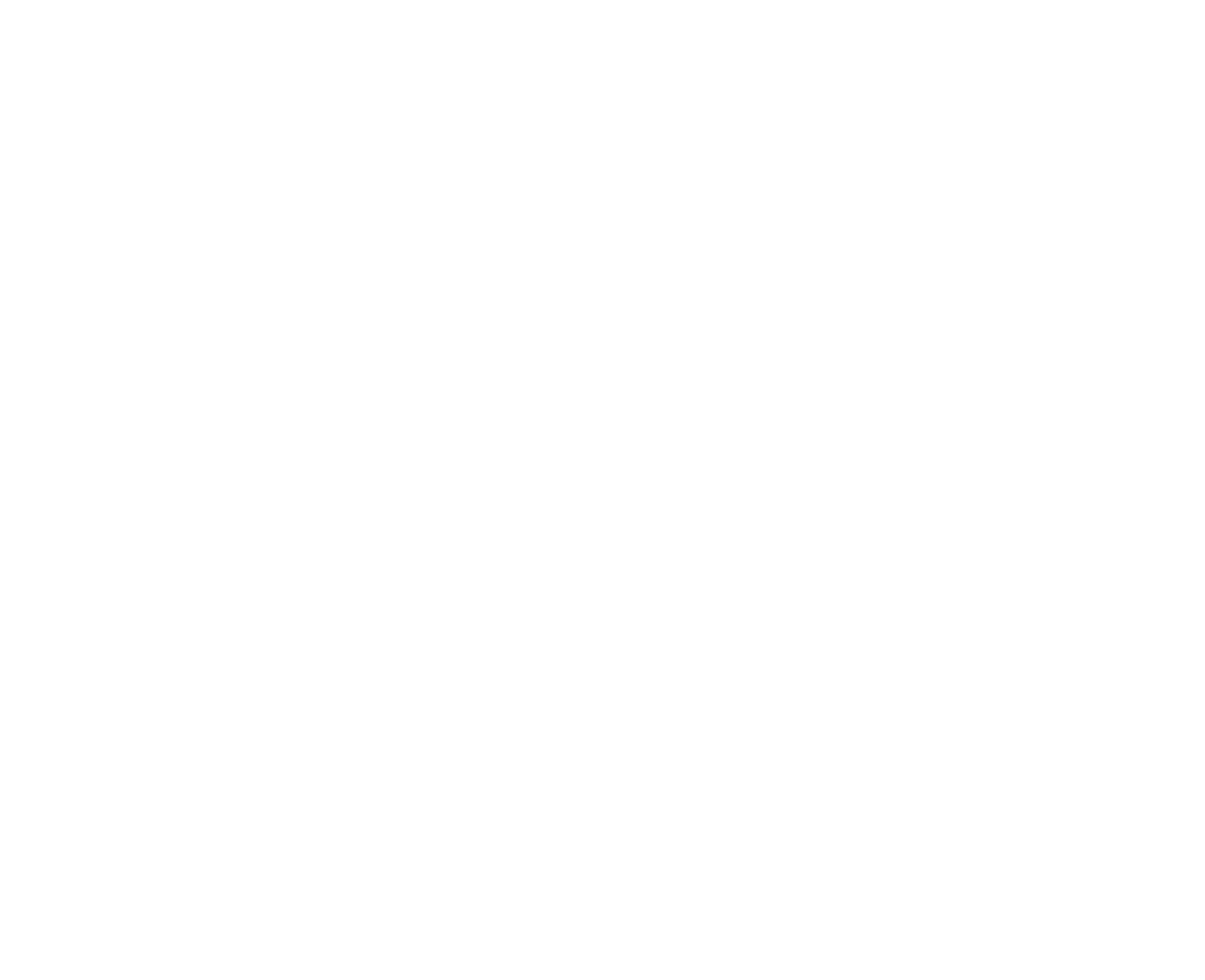 JN Logo White